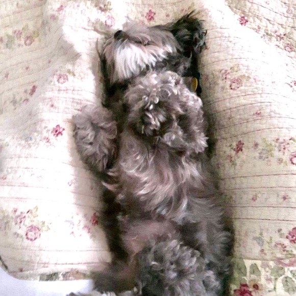 Meet your Posher Ella - Picture 12 of 14